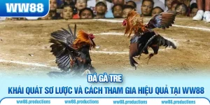 đá gà tre