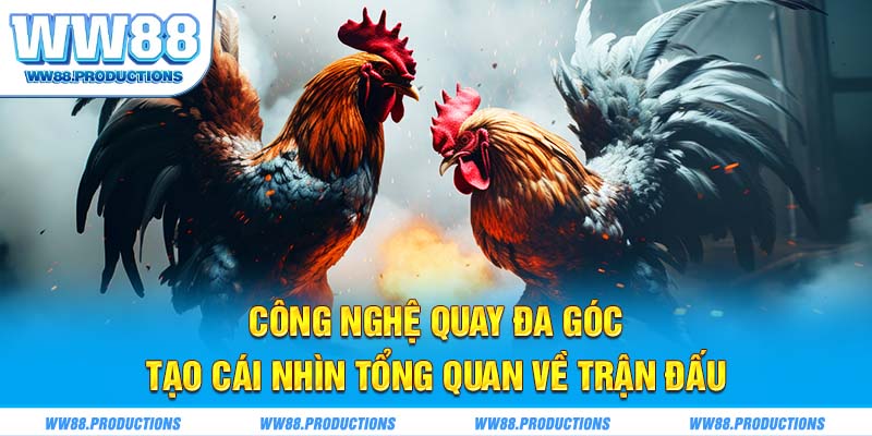 Công nghệ quay đa góc tạo cái nhìn tổng quan về trận đấu