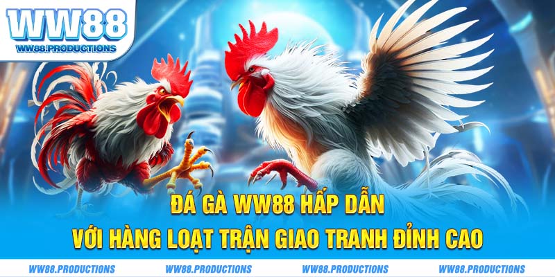 Đá gà WW88 hấp dẫn với hàng loạt trận giao tranh đỉnh cao